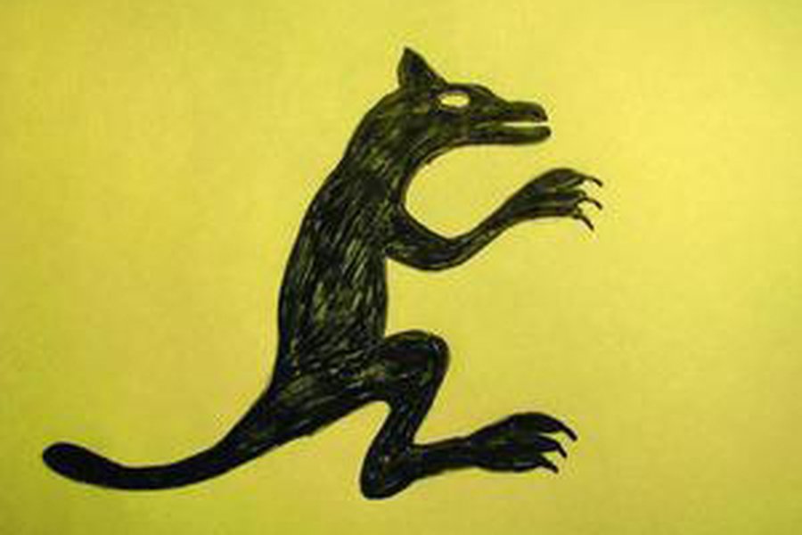 На Закарпатье видели прыгающую по деревьям чупакабру - Хобби, отдых и развлечения