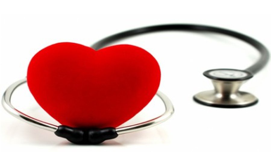 Что могут значить показатели холестерина - Наука и здоровье