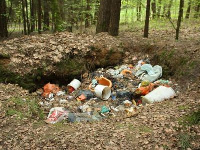 Приглашаем принять участие в акции «Darom 2014» - В Висагинасе