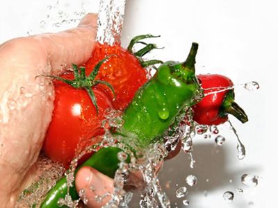 Как уберечься от кишечных инфекций? - Наука и здоровье