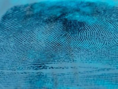 Отпечатки пальцев расскажут о вашем росте и поле - Происшествия и криминал