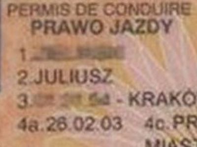 В Ирландии выяснили тайну злостного нарушителя - Происшествия и криминал