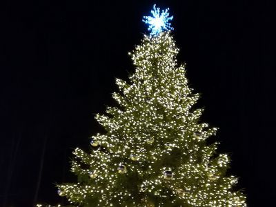 Елочка зажглась - дан старт подготовки к Рождеству и Новому году (Добавлено видео) - В Висагинасе