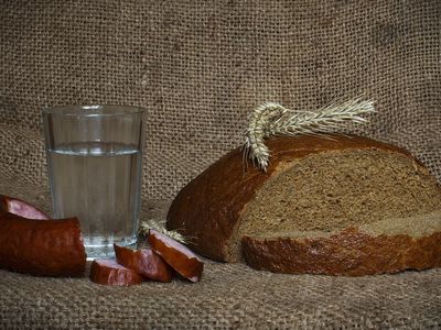 Правительство одобрило предложение легализовать производство домашней водки - Литва и страны Балтии