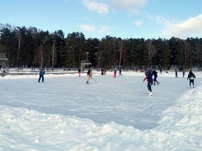 «Будь активным зимой». В этом году каток планируется сделать в хоккейной коробке - В Висагинасе