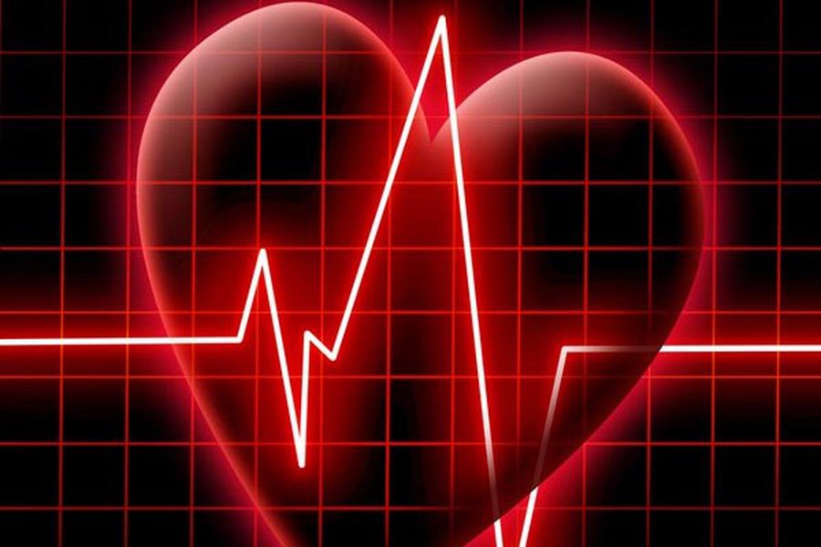 Депутат Сейма Литвы — профессия повышенного риска                                 - Наука и здоровье