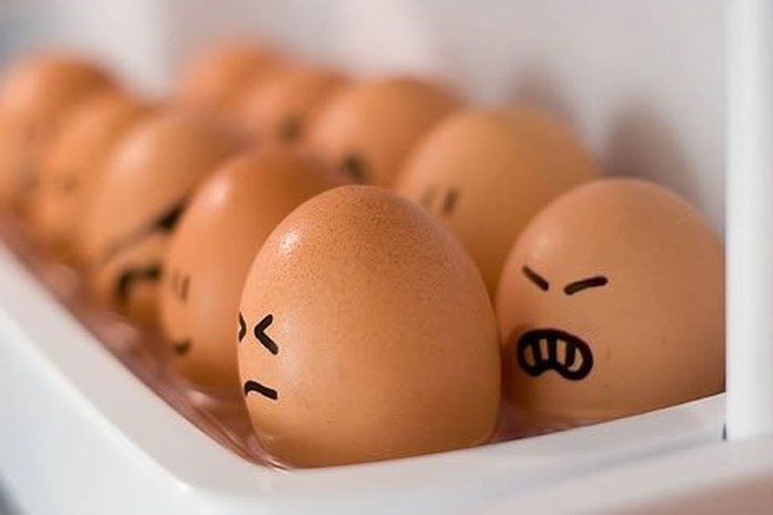 Куры в депрессии, а покупатели яиц в стрессе                                