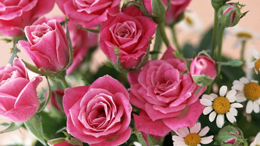 Поздравляем педагогов с профессиональным праздником! - В Висагинасе