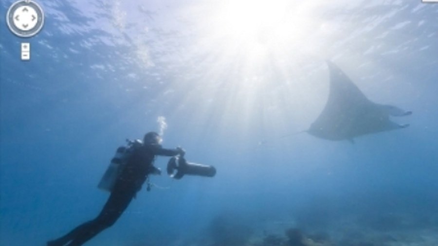 На Google Street View появились подводные панорамы - IT новости