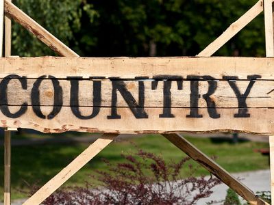 Visagino country-2010 - В Висагинасе