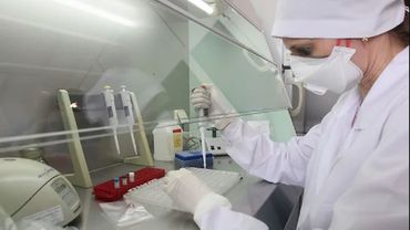 Российские ученые расшифровали полный геном коронавируса