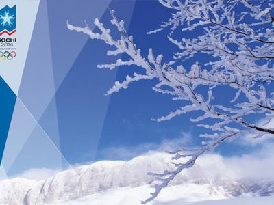 Программу Олимпиады-2014 в Сочи могут увеличить на семь дисциплин

 - Культурные и спортивные мероприятия