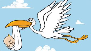 Статистика ЗАГСа за декабрь