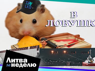 Эти дни войдут в учебники истории Литвы: Литва за неделю (видео) - Литва и страны Балтии