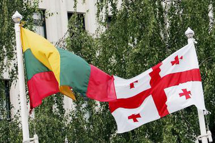 Литва провоцирует Грузию на вторую войну