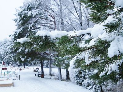 Зима пришла. Прогноз погоды на неделю  в Висагинасе - В Висагинасе