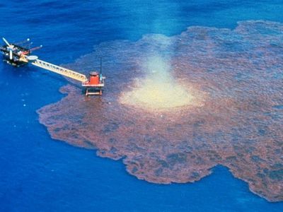 Катастрофа в Мексиканском заливе повысит интерес к атомной энергетике: эксперты
 - Энергетика