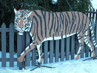 Фанерный тигр получил «прописку» до Старого Нового года (видео) - В Висагинасе
