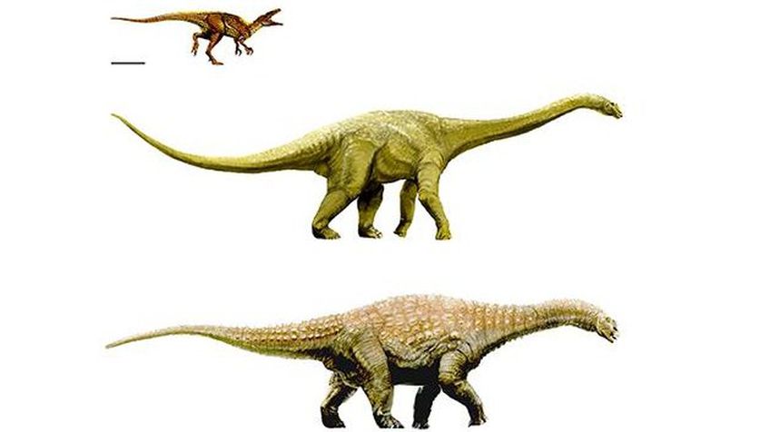 В Австралии найдены останки трех новых видов динозавров