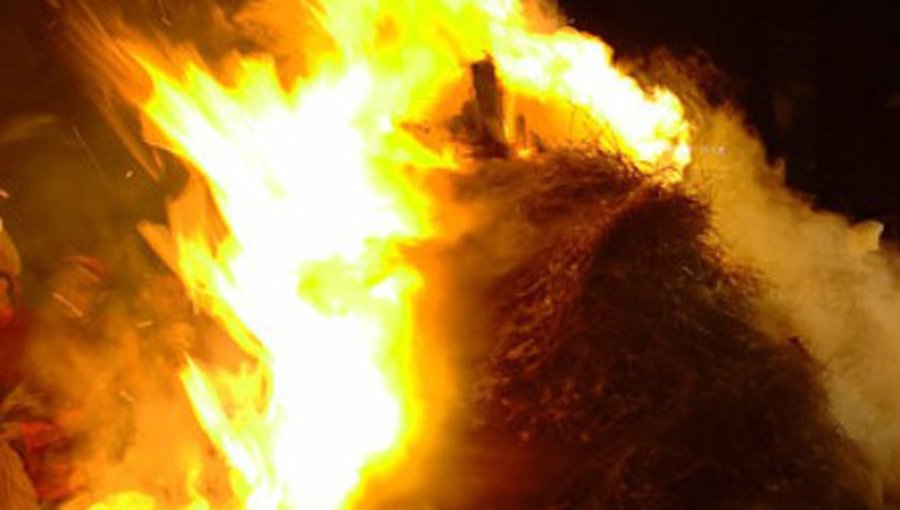 Прибалтийские крестьяне предъявят Евросоюзу горящее сено - Литва и страны Балтии