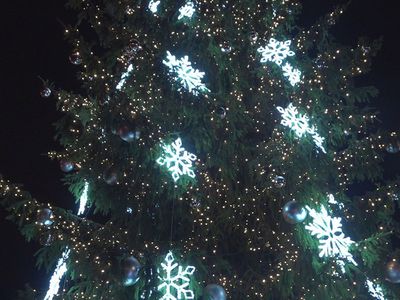 Зажжены огни на главной городской елке (фотогалерея) - В Висагинасе