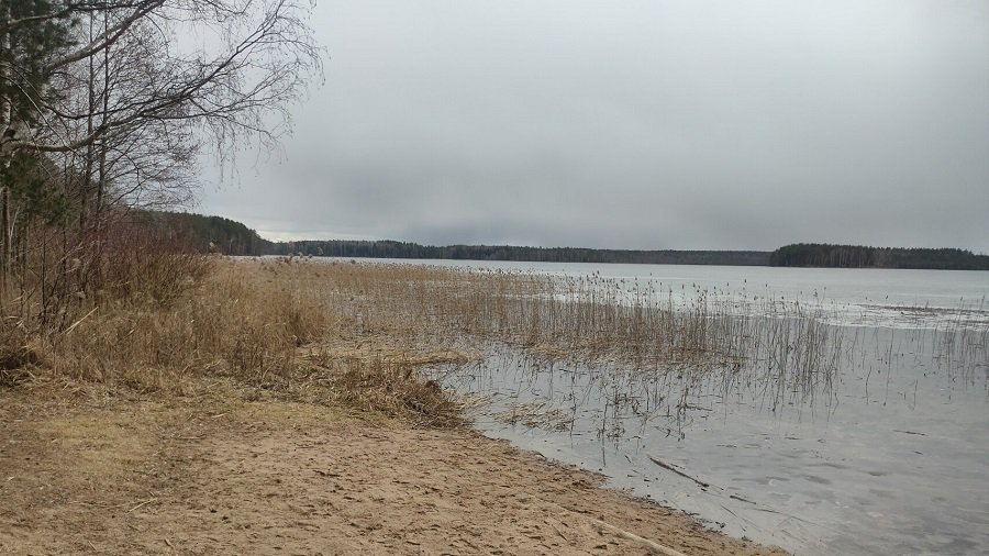 Планируется привести в порядок места для купания на берегу Висагинского озера - В Висагинасе