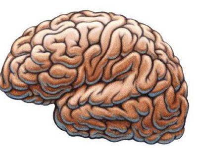 Создан детектор подлости - Наука и здоровье