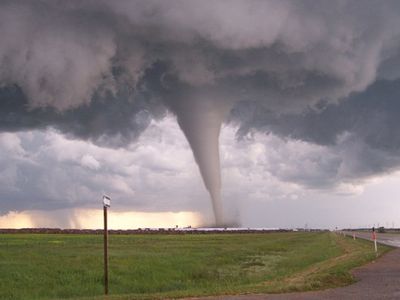 Торнадо привел к остановке работы АЭС в американском штате Алабама - Энергетика