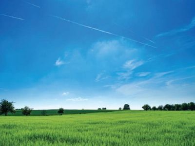 Pratęsiamas valstybinės žemės deklaravimo terminas - Lietuva ir Baltijos šalys