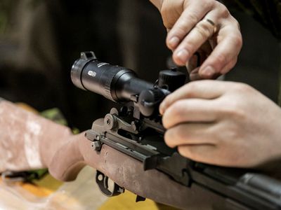 Прекращается сезон охоты на волков - Хобби, отдых и развлечения