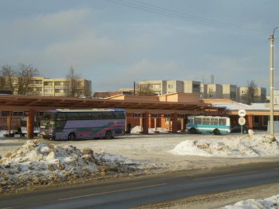 Горячая линия TTS: О водителях и пассажирах - В Висагинасе