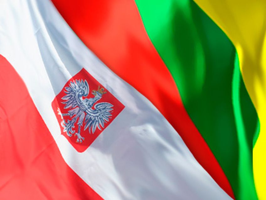 Президент Литвы отомстит России за плесень и бактерии: Прибалтика в польских СМИ
