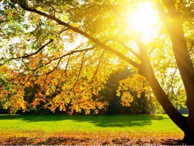 Погода: выходные ожидают быть теплыми - Литва и страны Балтии