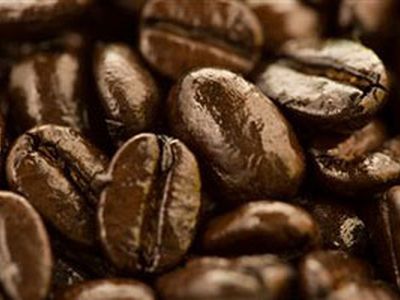 Кофейная гуща эффективно сжигает жир                                 - Наука и здоровье