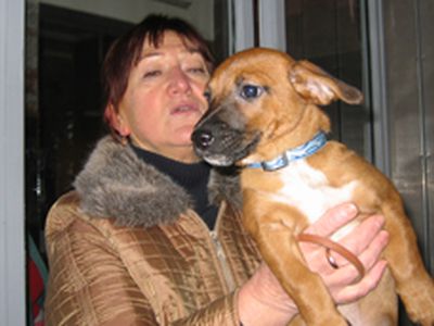 Маленький Рекс ждет хозяина - В Висагинасе