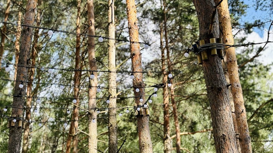 Гамаки на озере и их освещение восстановлены - В Висагинасе