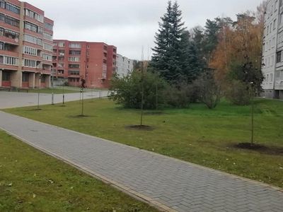 ГлаЗ народа: Началось озеленение улицы Висагино - В Висагинасе