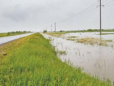 Пострадавшим от ливней крестьянам стран Балтии выделят средства - Литва и страны Балтии