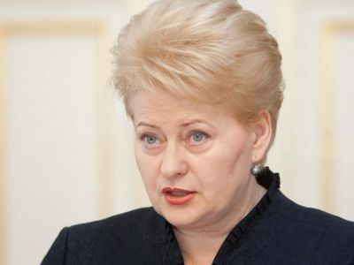 Планы правящих выдвинуть единого кандидата на пост президента рушатся? - Литва и страны Балтии