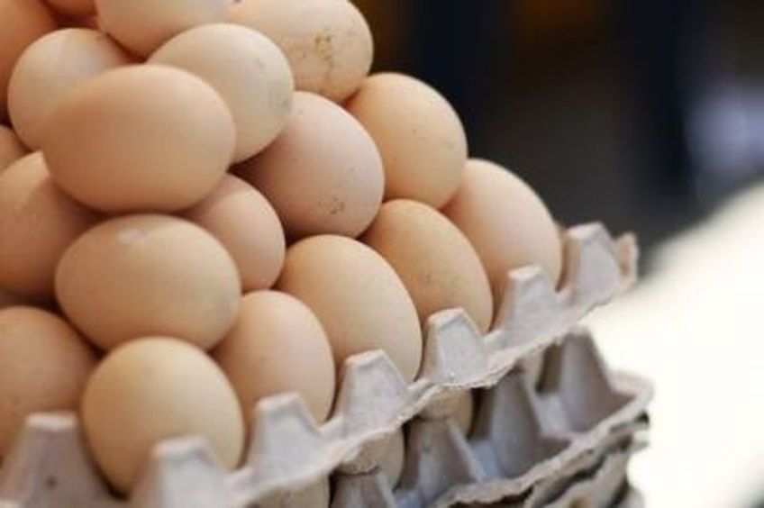Už kiaušinius - pusė milijono litų pajamų vos per keturis mėnesius

