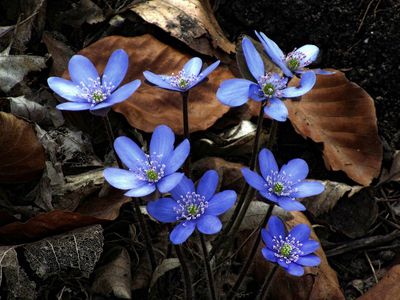 Синоптики рассказали о погоде на длинные выходные - Литва и страны Балтии