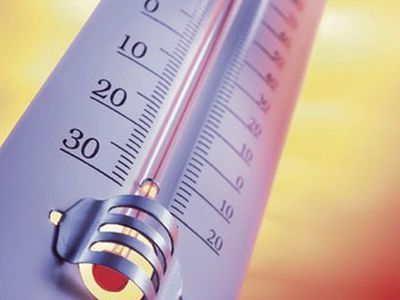 В Литве установилась аномально теплая погода                                 - Наука и здоровье