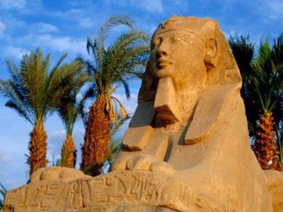 Protestai – smūgis Egipto ekonomikai                                 - Pasaulyje