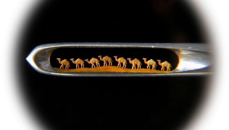 Открылась выставка «Мир чудес»: искусство на грани невозможного (видео)