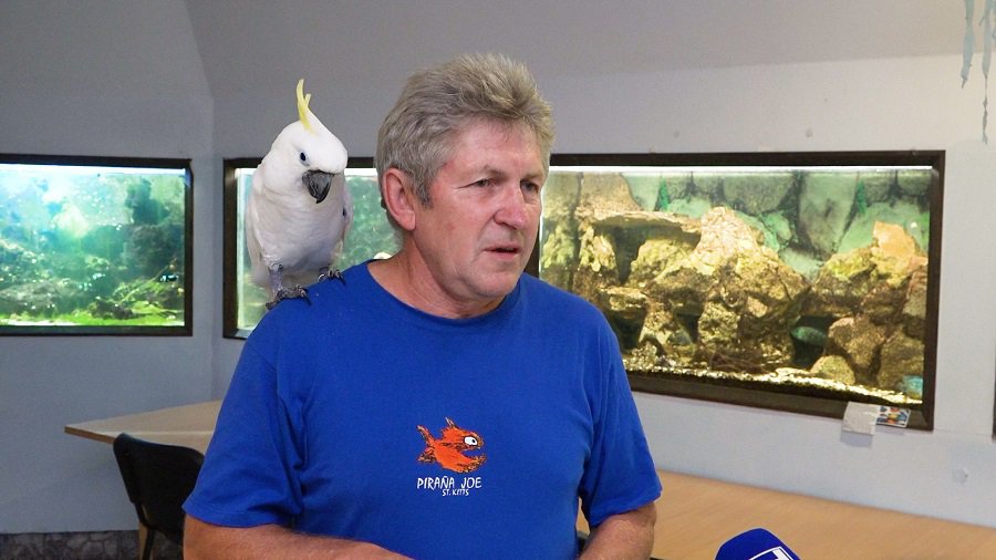 Альвидас Витас: «Аквариум – это не бизнес. Но я не продал бы его и за миллион» (видео) - В Висагинасе