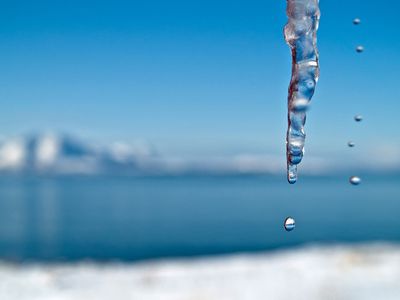В Литве за неделю от холода погибли 17 человек

                                 - Происшествия и криминал