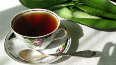 Ученые объяснили пользу «кофейного чая»