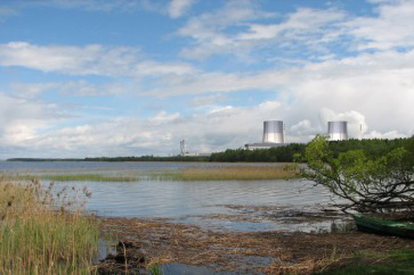 Эксперты МАГАТЭ оценят площадки будущей АЭС в Литве

