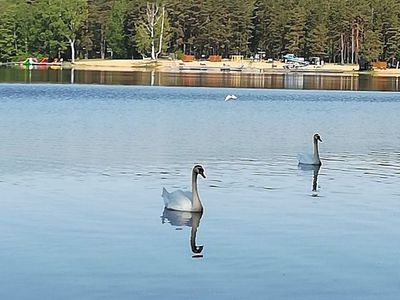 Купаться можно! Качество воды и песка в оз. Висагинас соответствуют норме - В Висагинасе