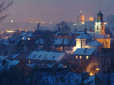 «Запах русского медведя в Литве сильнее, чем в Польше»                 - Литва и страны Балтии